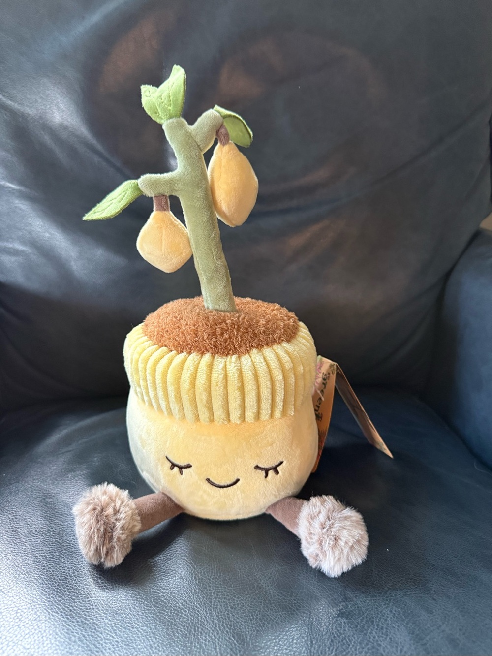 Rare Greenhouse by Russ Stuffed Lemon Tree
